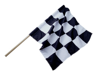THE CHEQUERED FLAG.jpg